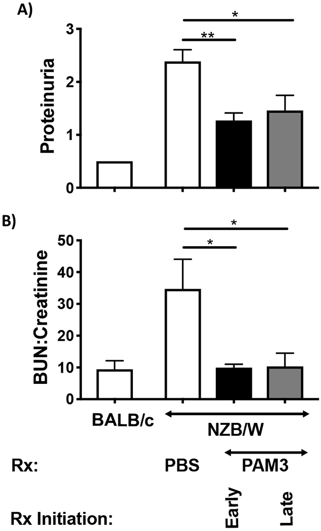 Figure 6: