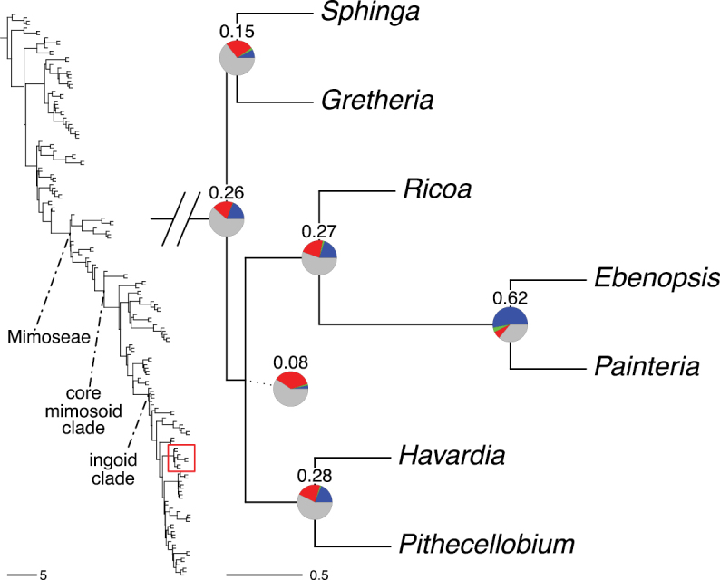 Figure 215.