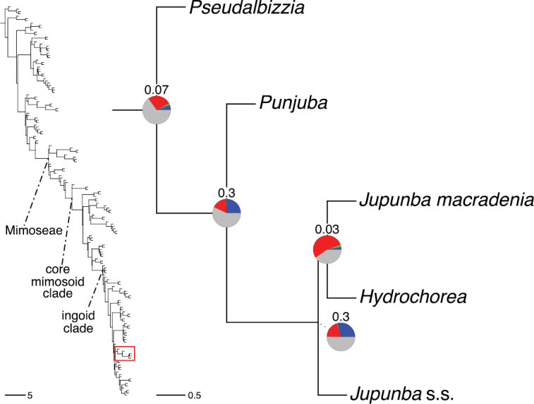 Figure 245.