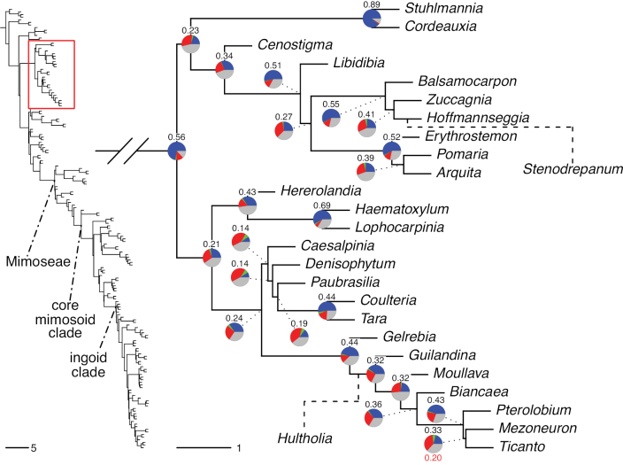 Figure 34.