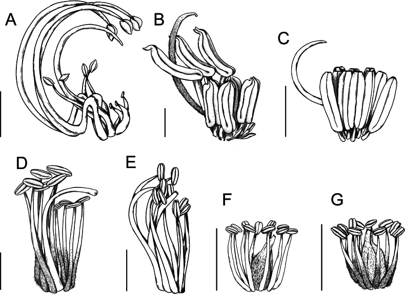 Figure 22.