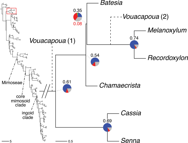 Figure 21.