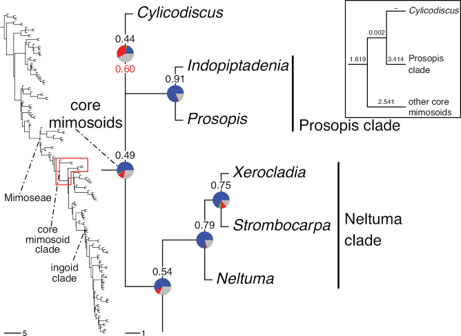 Figure 131.