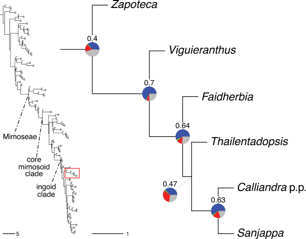 Figure 202.