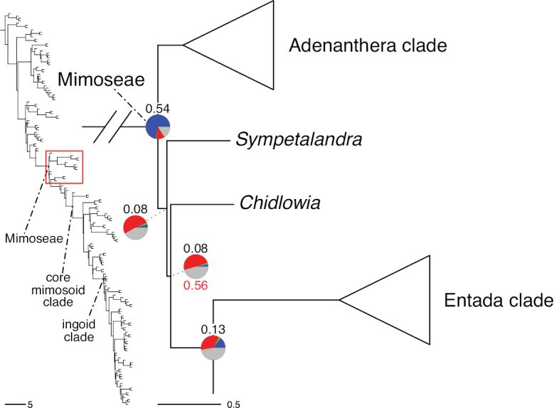 Figure 113.