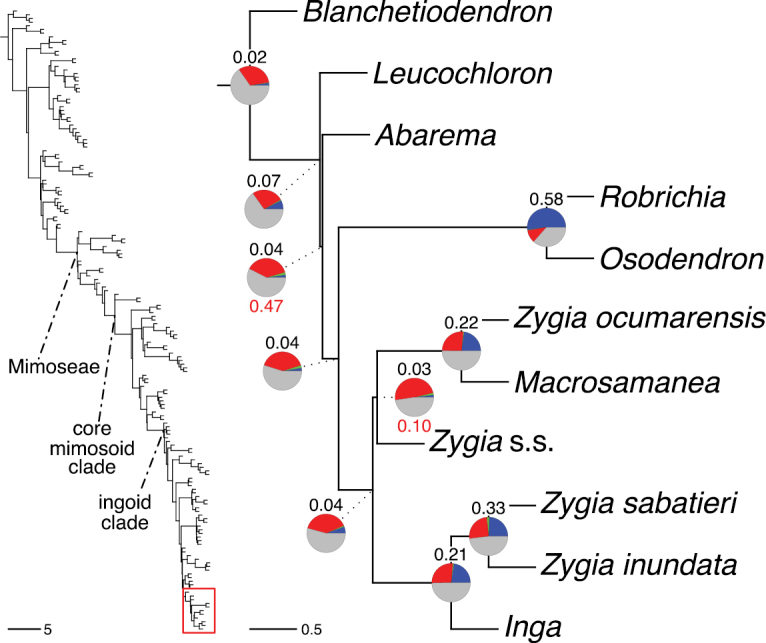 Figure 263.