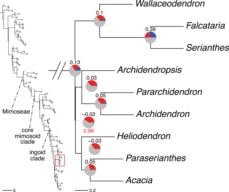 Figure 224.