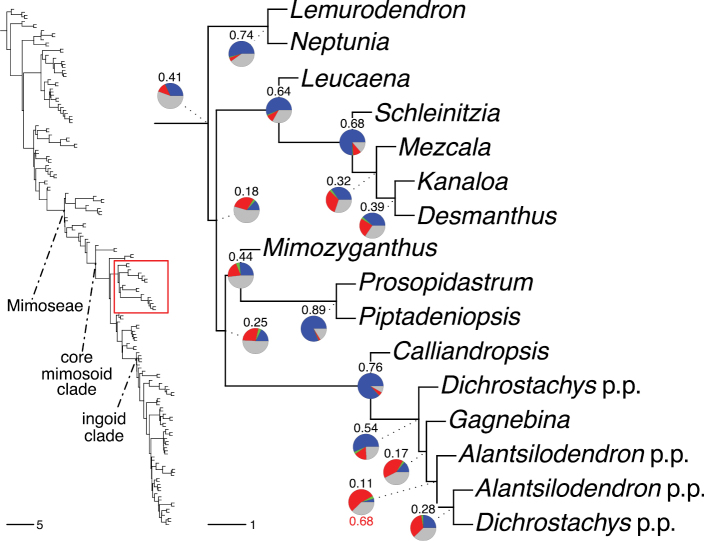 Figure 142.