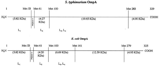 FIG. 5.