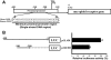 F<sc>ig</sc>. 1.