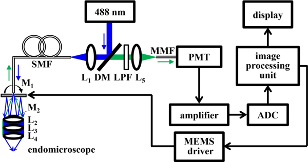 Fig. 1.