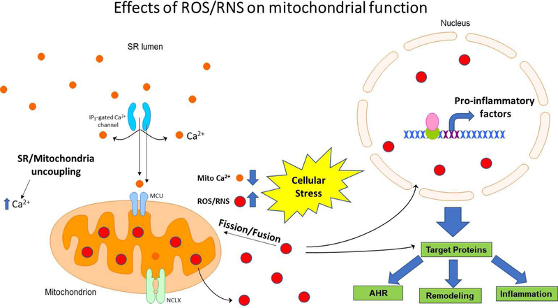 Figure 3: