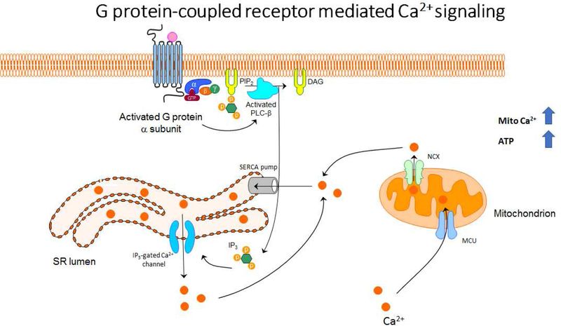 Figure 2: