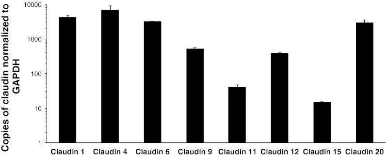 Fig. 5.