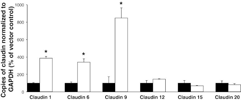 Fig. 9.