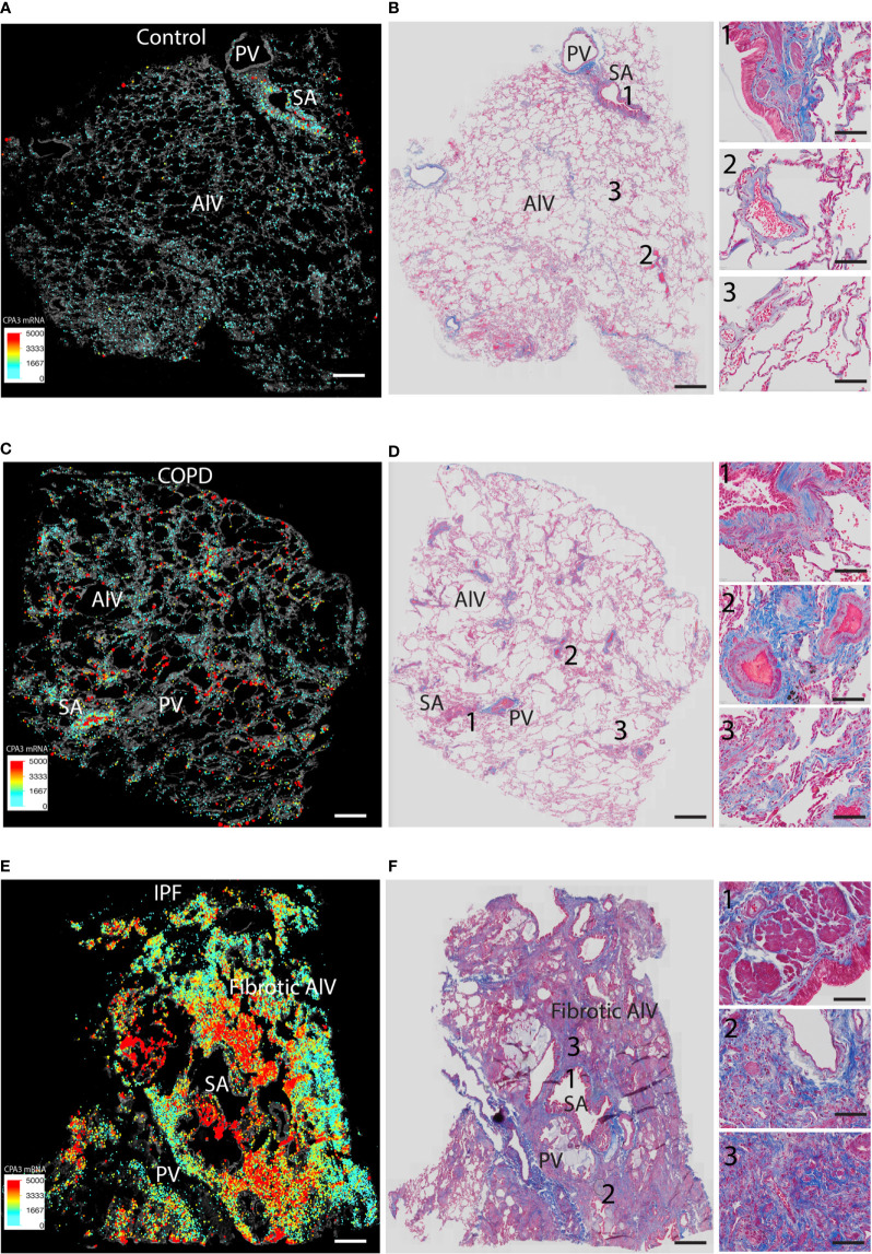 Figure 6