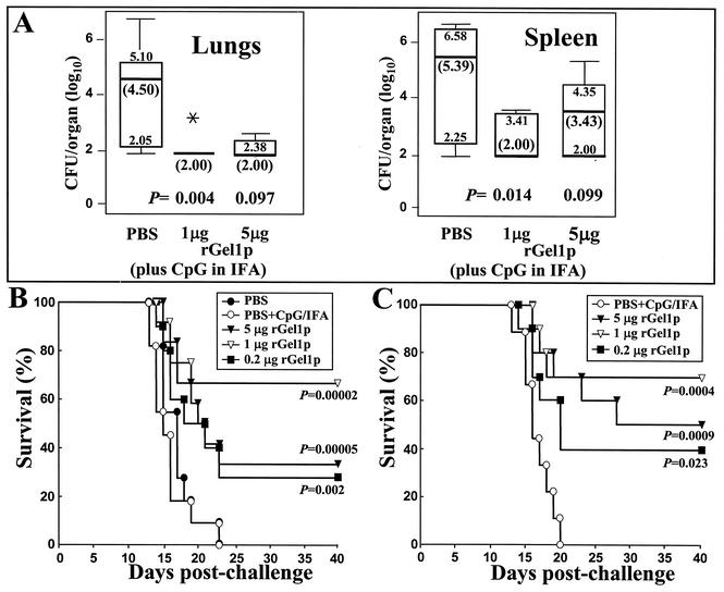 FIG. 5.