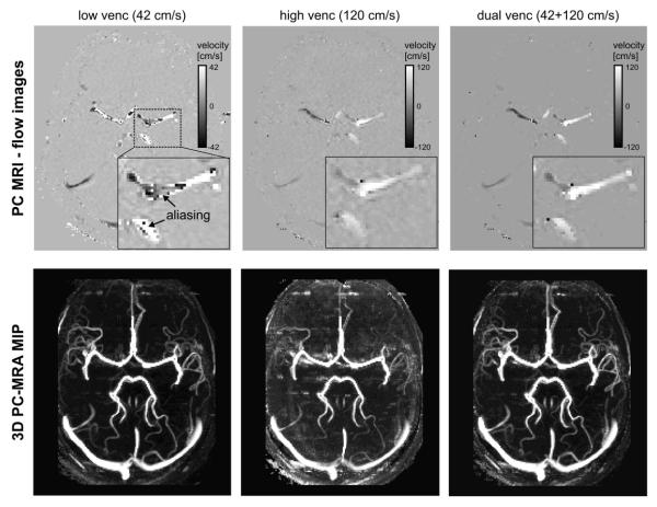 Fig. 10