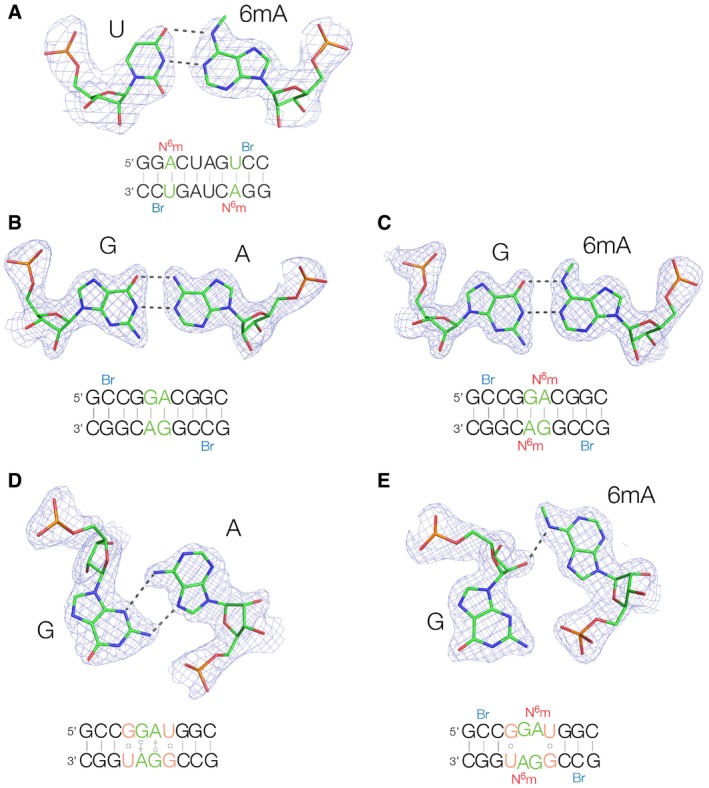 Figure 5