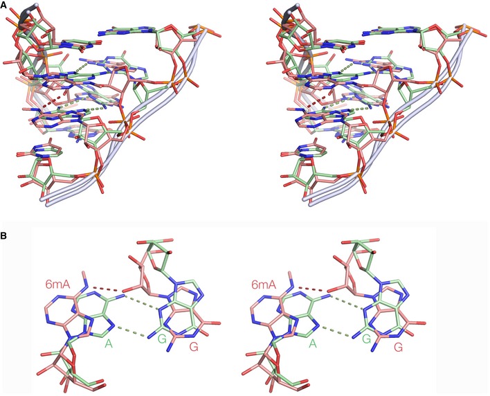 Figure 6