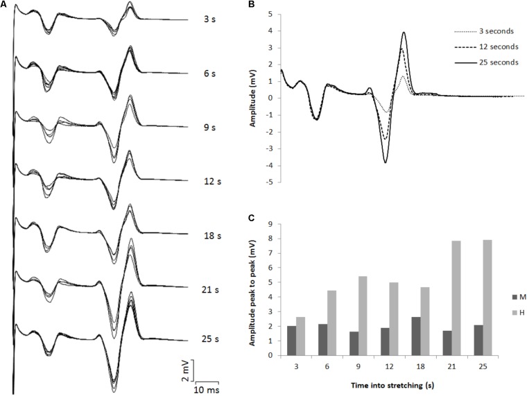 FIGURE 3