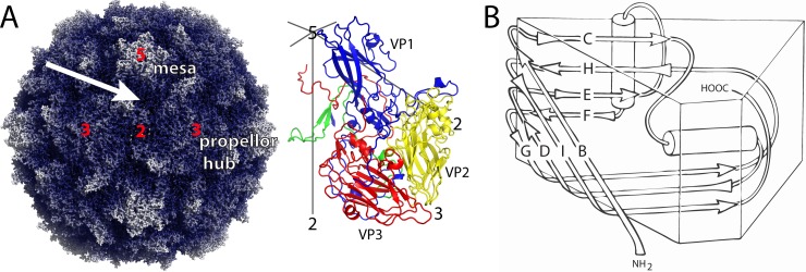 FIG 1