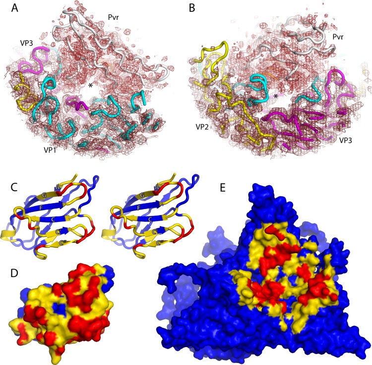 FIG 3