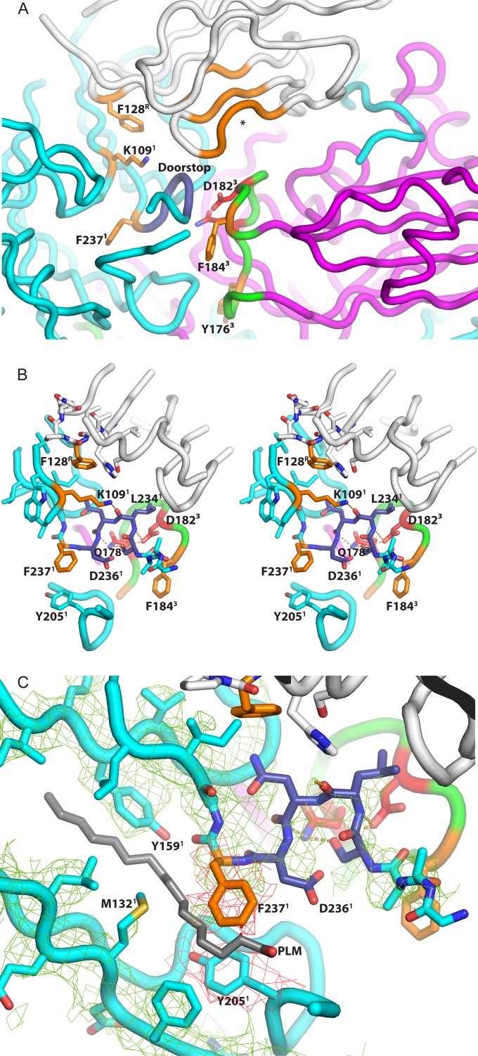 FIG 5