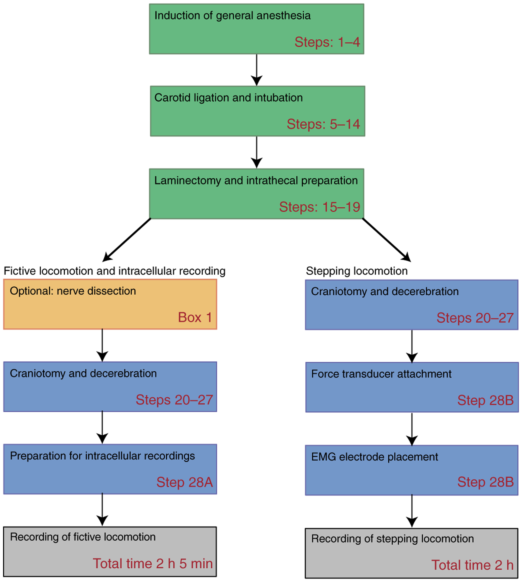 Figure 1 |