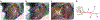 Figure 5 |