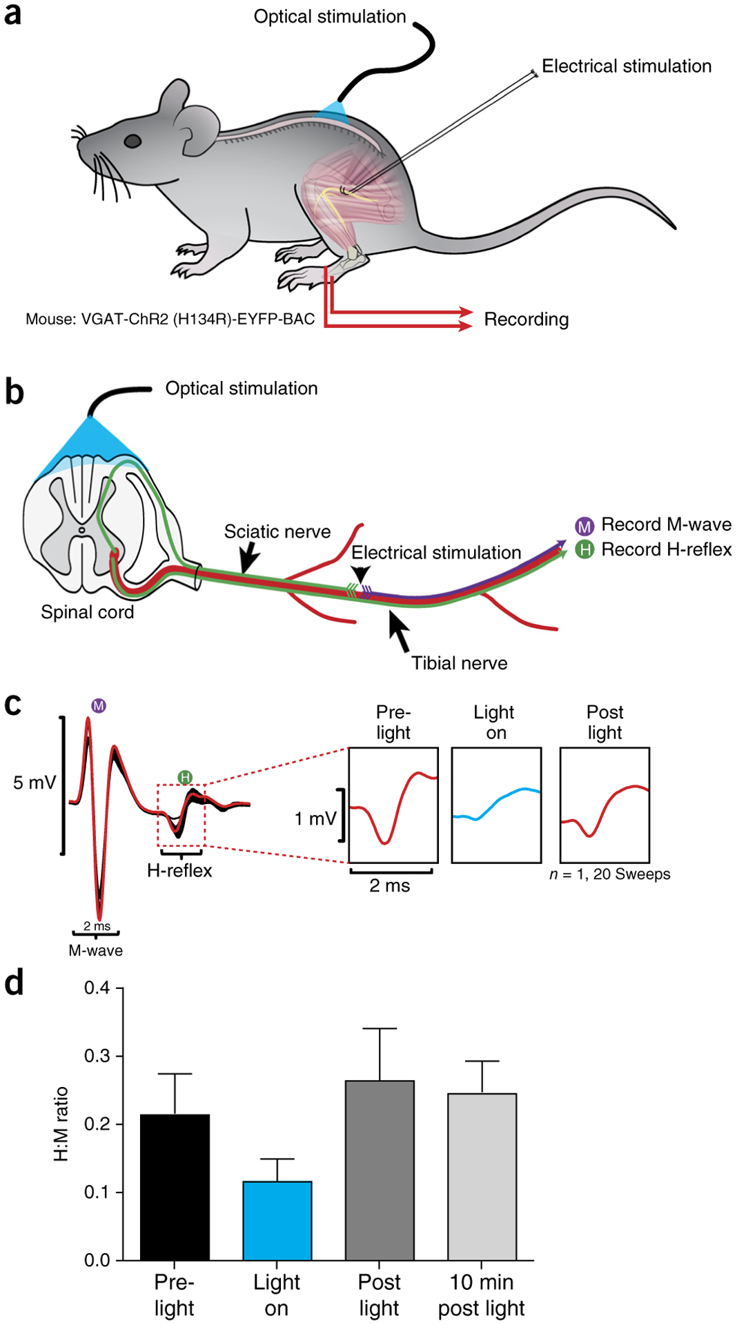 Figure 12 |