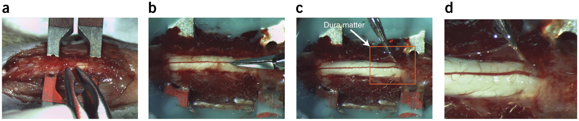 Figure 3 |