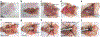 Figure 2 |