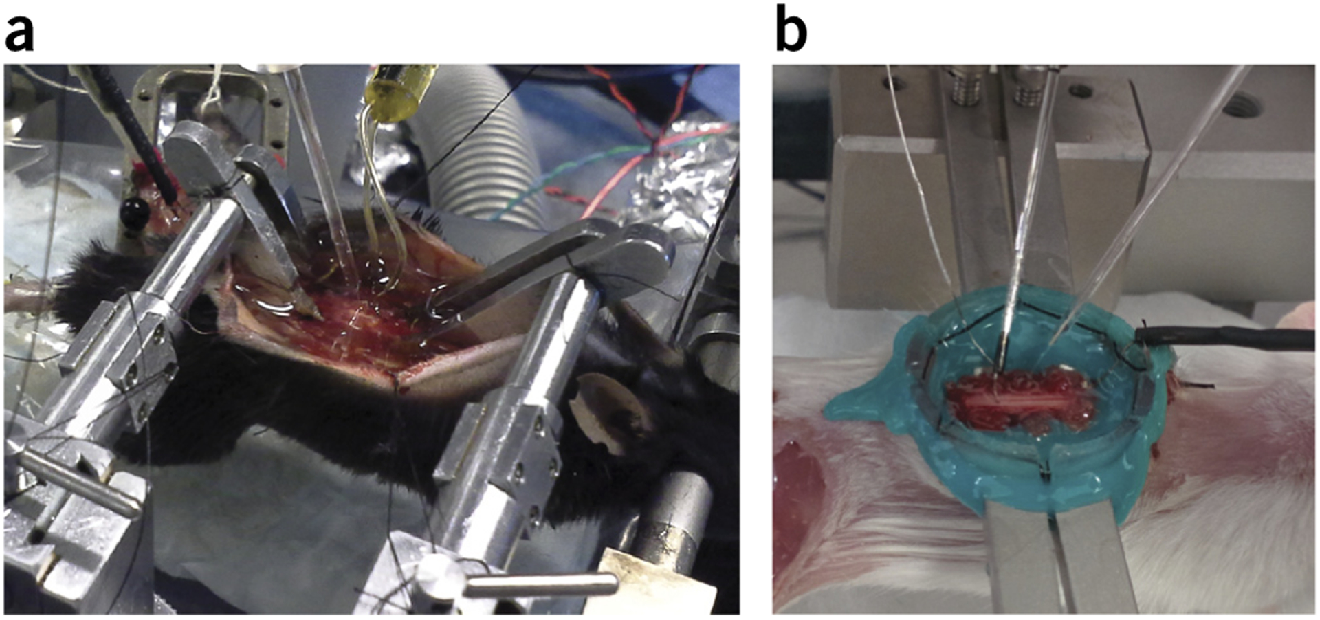 Figure 4 |