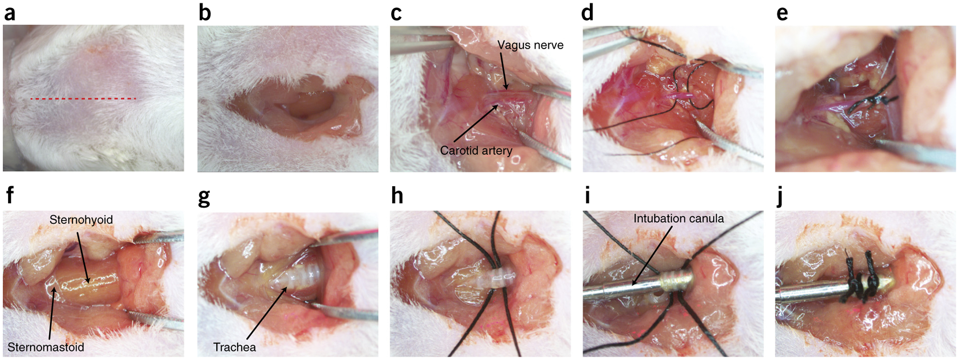 Figure 2 |