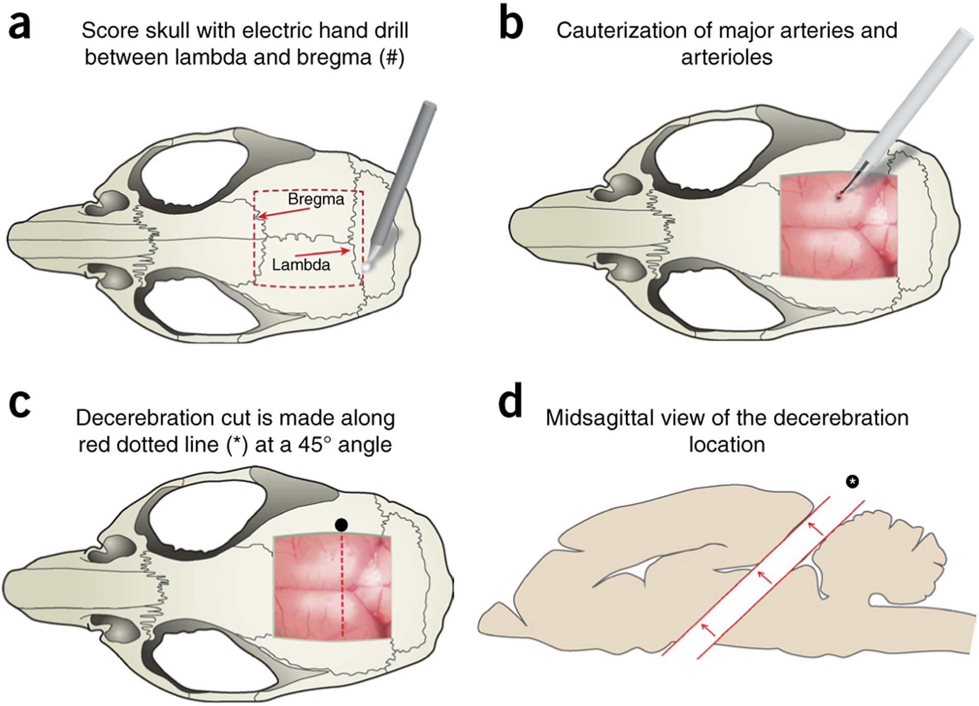 Figure 7 |