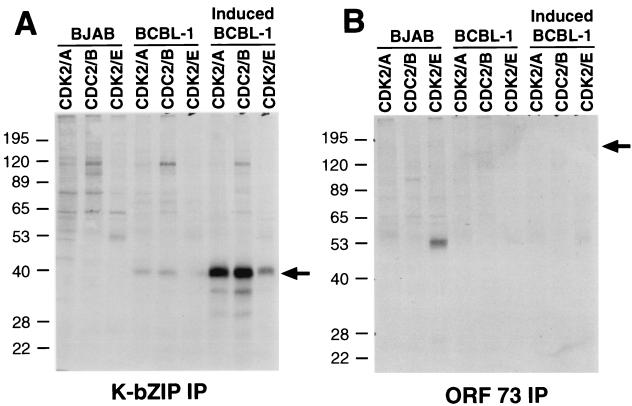 FIG. 6