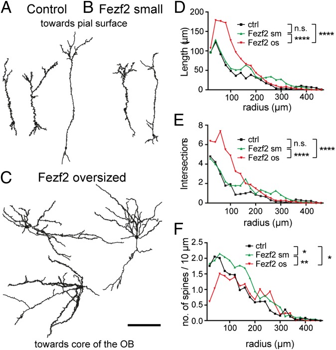 Fig. 3.