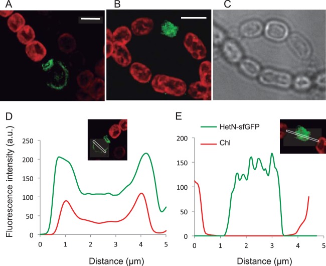 FIG 4