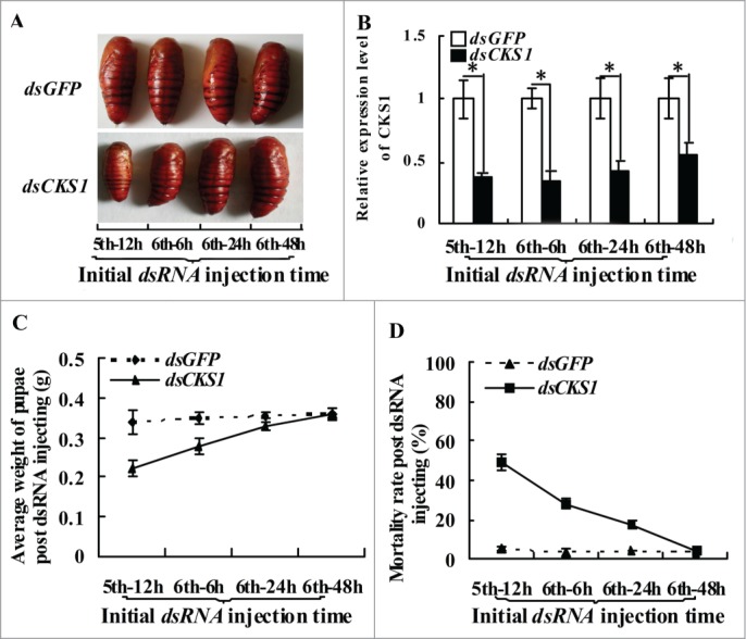 Figure 3.