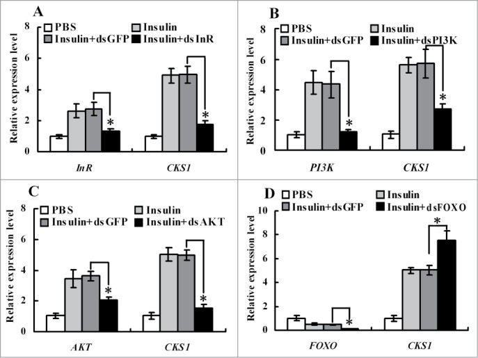 Figure 10.