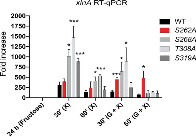 FIG 3