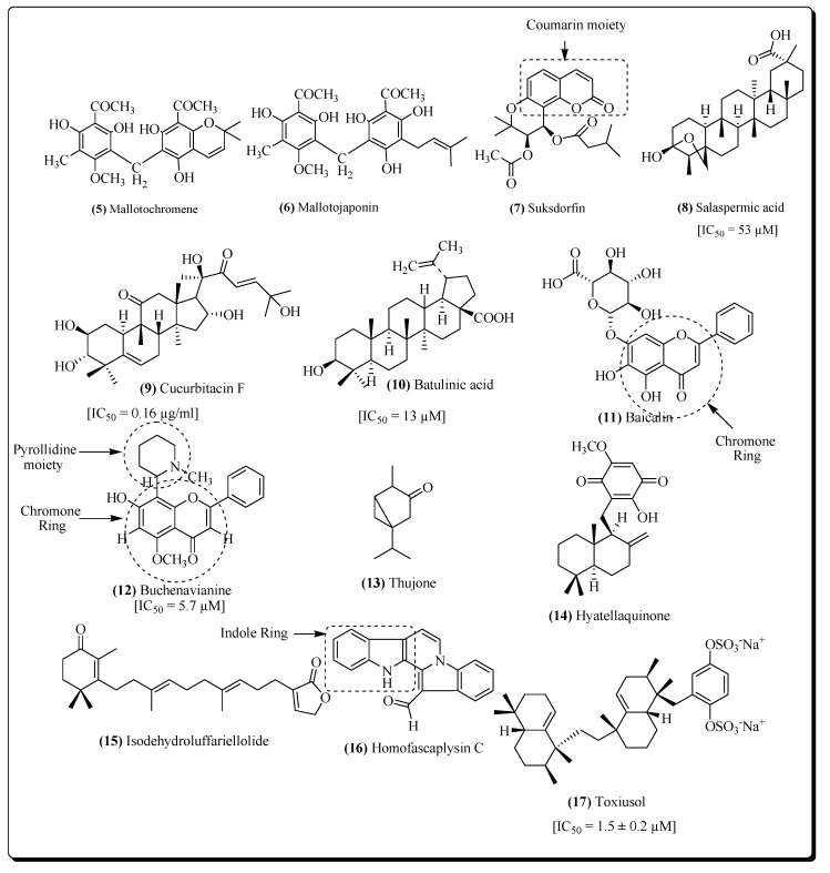 Figure 5