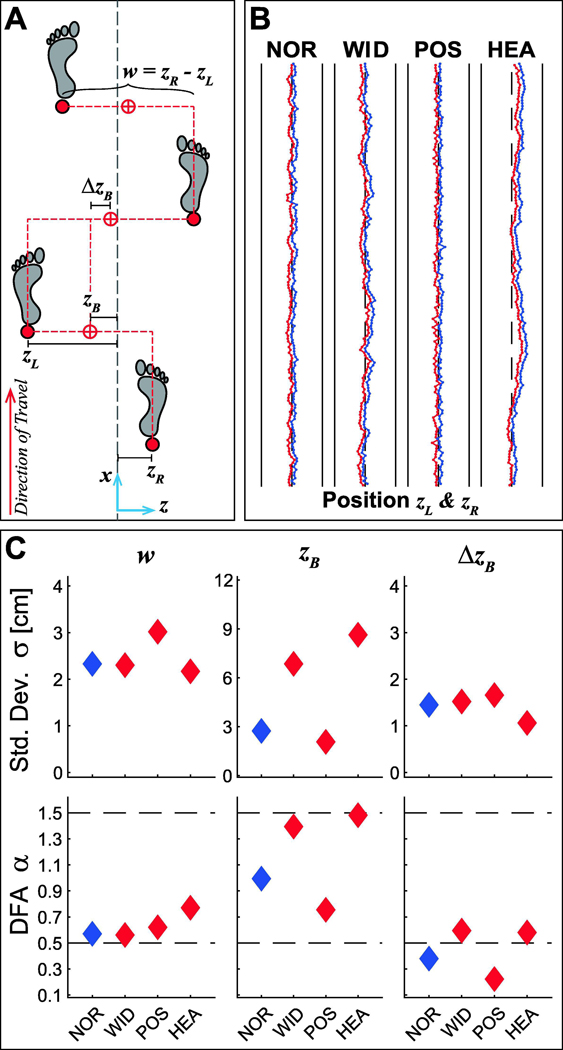 Figure 1 –