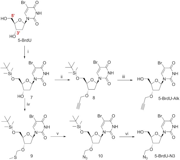 Scheme 2.