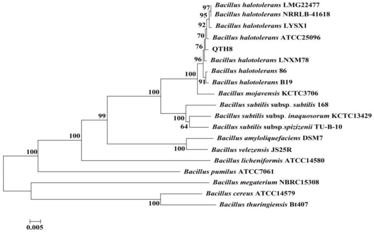 Figure 5