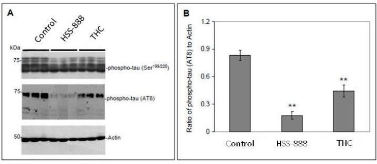 Fig. (3)