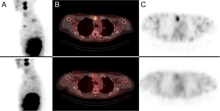 Fig. 8