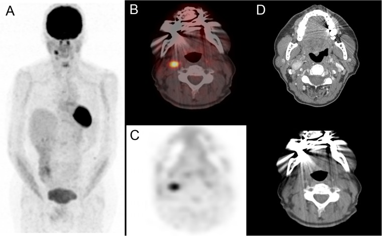 Fig. 6