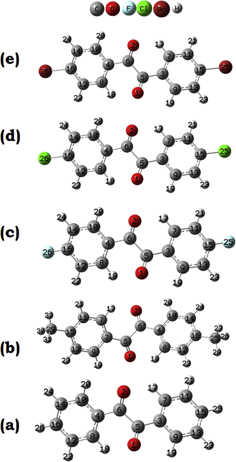 Fig. 1